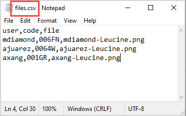 Notepad document is saved as files.csv